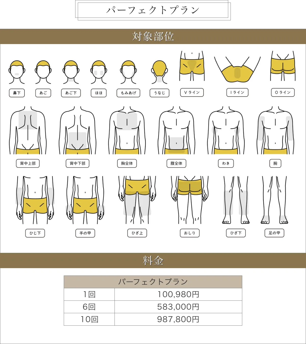 パーフェクトプラン（全身+顔+VIO）料金表
