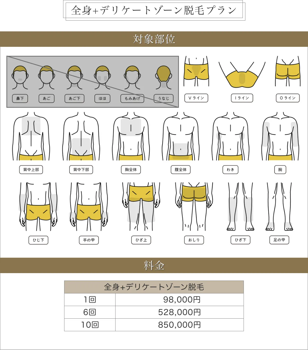 全身+VIOプラン料金表
