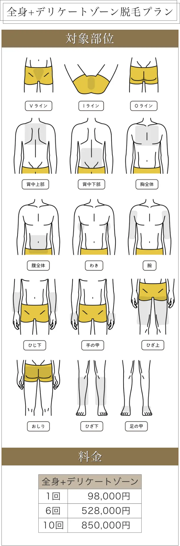 全身+VIOプラン料金表