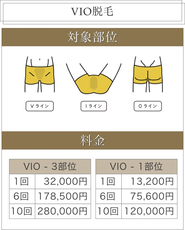 VIO脱毛料金表