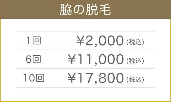 脇の脱毛料金表